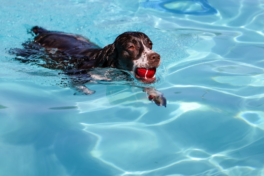 Photo by Judy Beth Morris on Unsplash